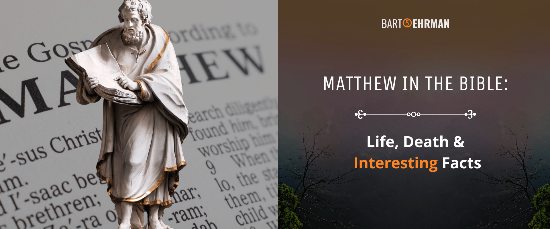 Matthew in the Bible