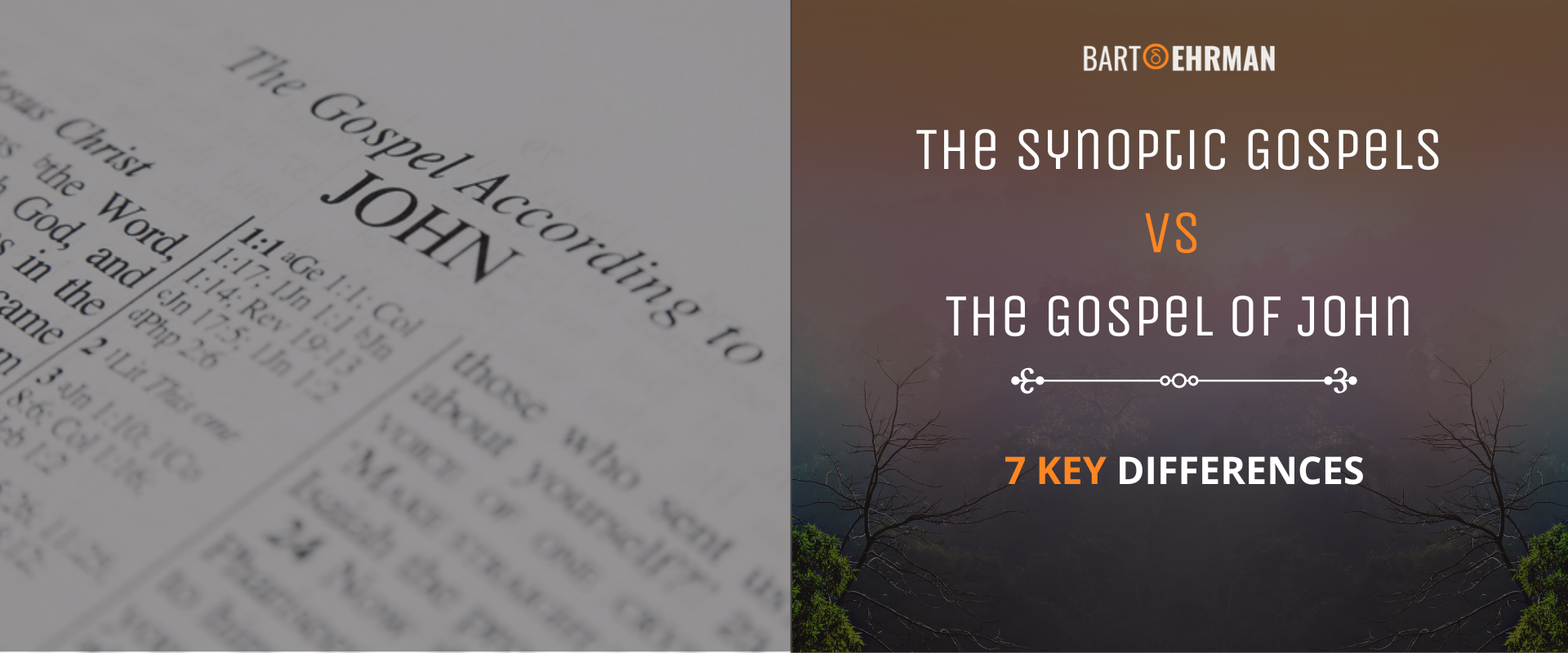 The Synoptic Gospels