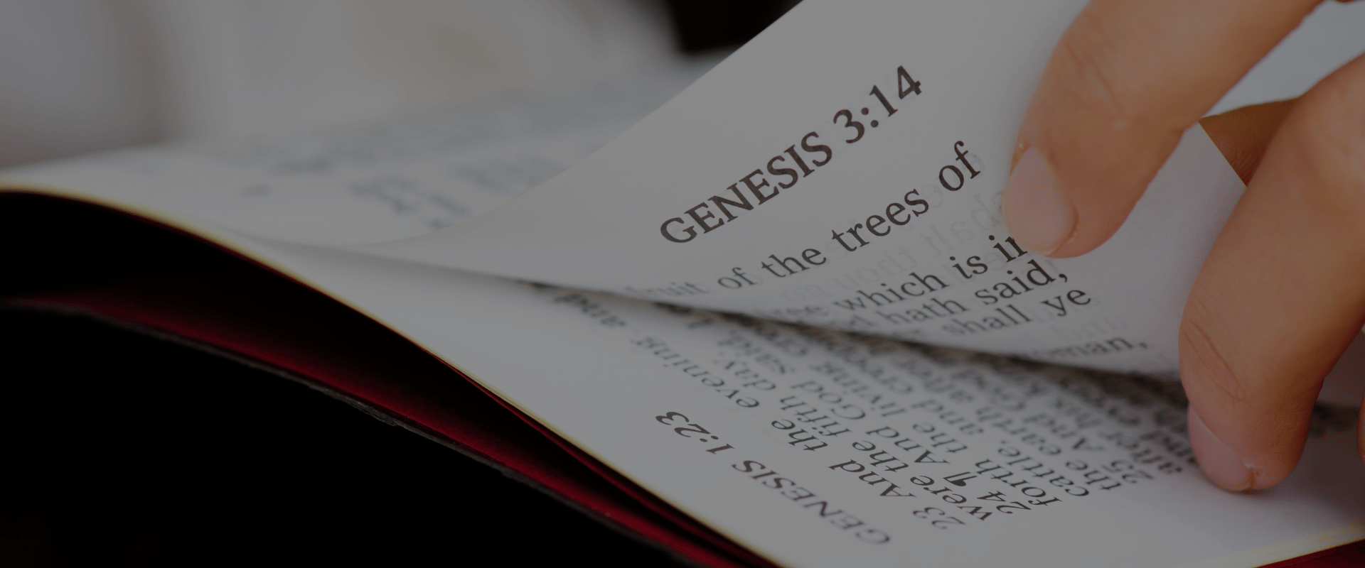 What are the first five books of the bible called