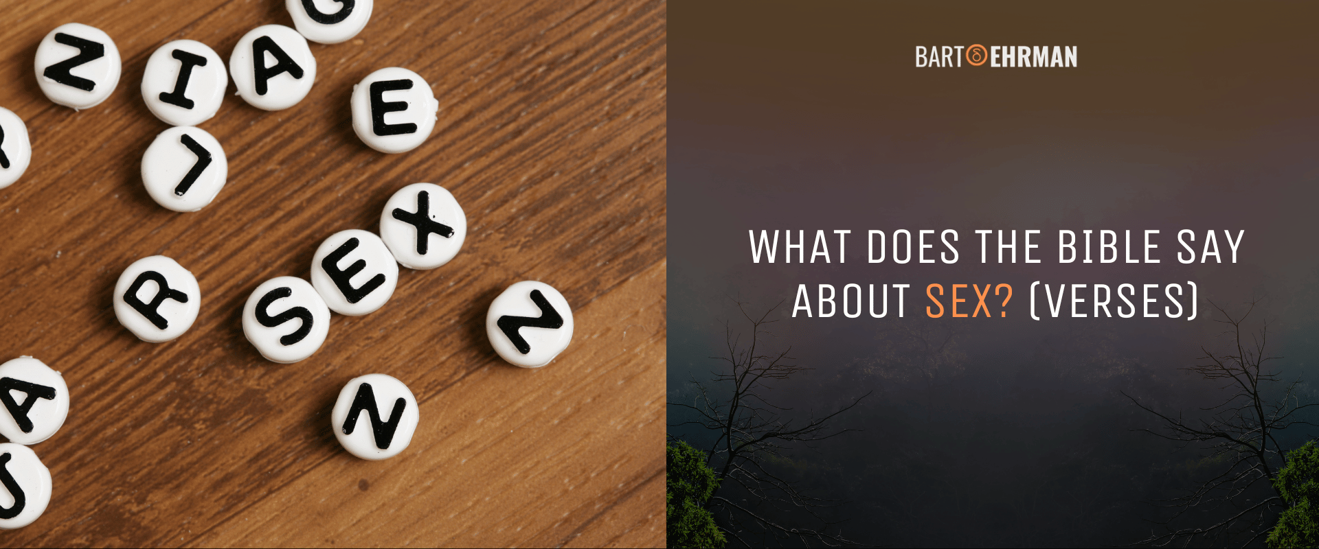 What Does the Bible Say About Sex